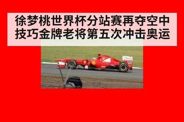 徐梦桃世界杯分站赛再夺空中技巧金牌老将第五次冲击奥运